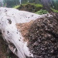 Baker Gulch Trail